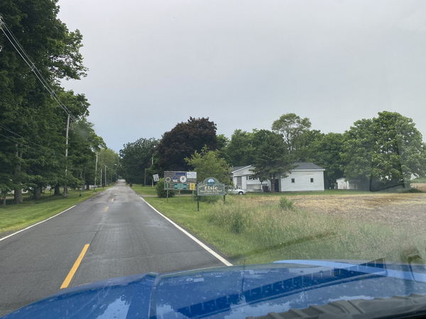 Elsie - May And June 2022 (newer photo)